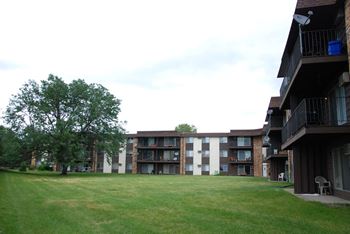 Grassy area